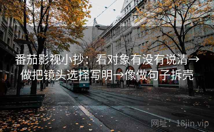 番茄影视小抄：看对象有没有说清→做把镜头选择写明→像做句子拆壳